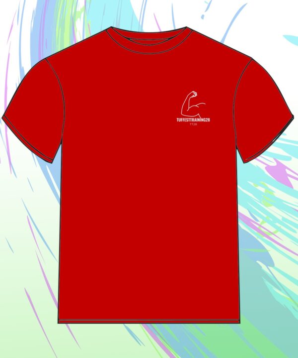 TT28 Mens Gym Workout Shirt S/S Red