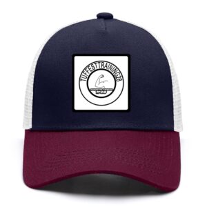 tt28-snapback-hat-navy-blue
