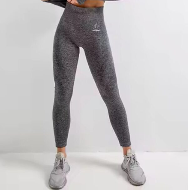TT28 Gym Leggings Plus Size 2pc Set Greyish - XL